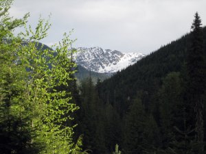 scotchmanpeak_northface_may26.jpg