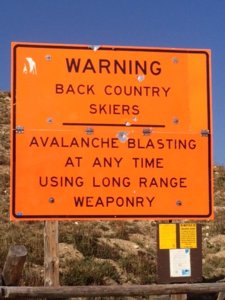 IMG_4039.JPG