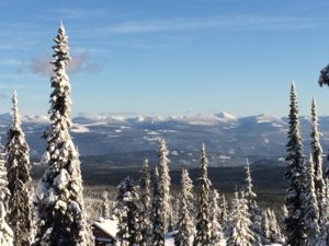 bigwhite 019.JPG