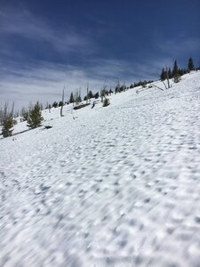 Snow Peak Glades.JPG